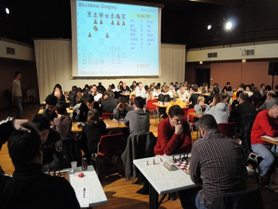 Les ajacciens maîtres chez eux ! Les ajacciens maîtres chez eux !